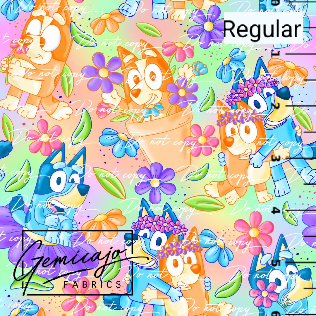 Spring Heeler, Rainbow